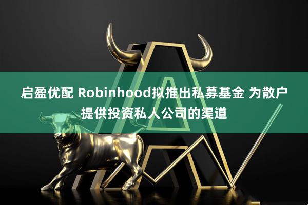 启盈优配 Robinhood拟推出私募基金 为散户提供投资私人公司的渠道